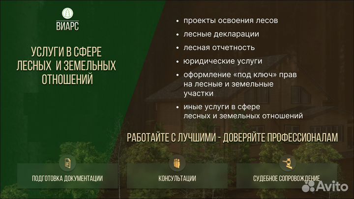 Проекты освоения лесов