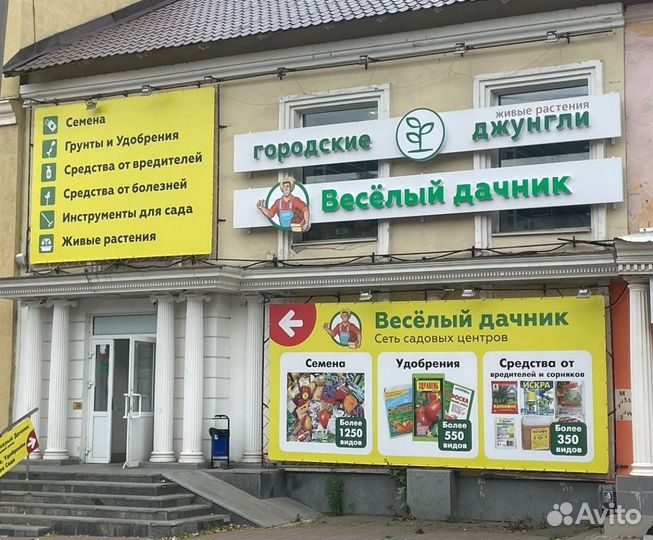 Строманта триколор