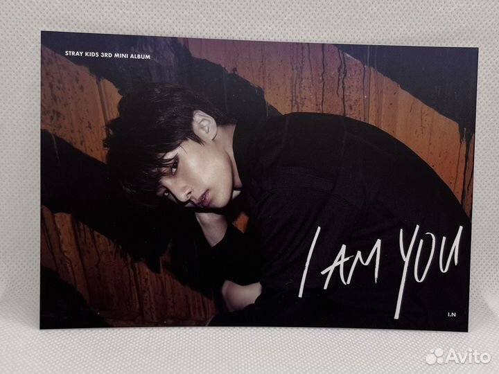 Stray kids открытки Чонин