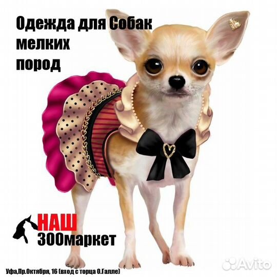 Дождевики для Собак мелких и средних пород