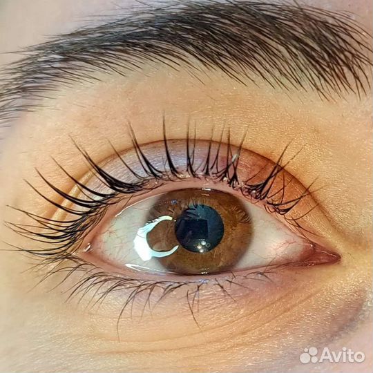 Срочно ищу моделей на Ламинирование ресниц