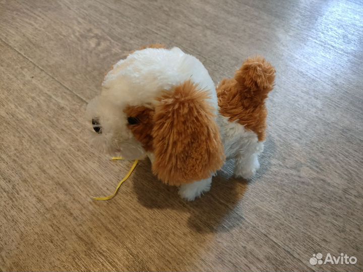 Собака на пульте управления