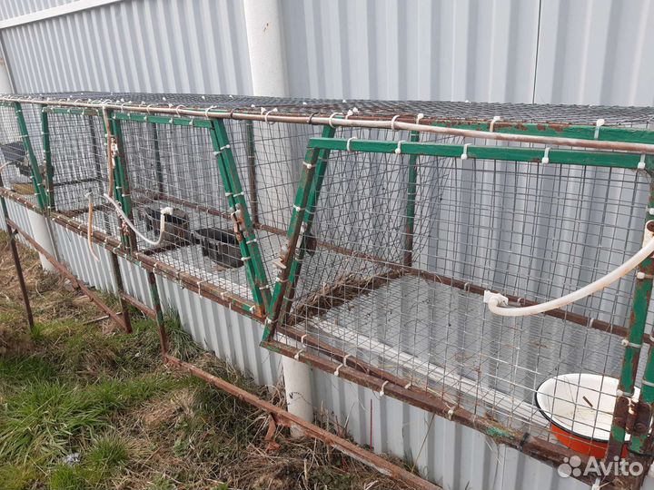 Клетки для кроликов металлические