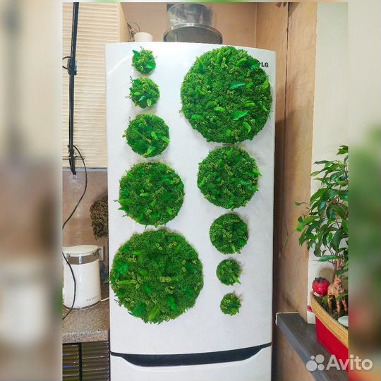 Холодильник дизайнерский