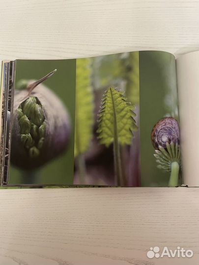 Фотоальбом 