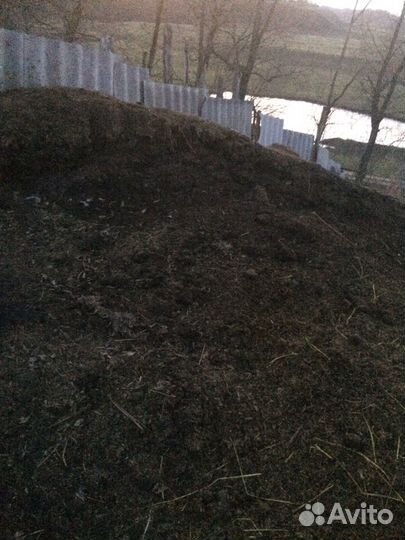 Конский перегной