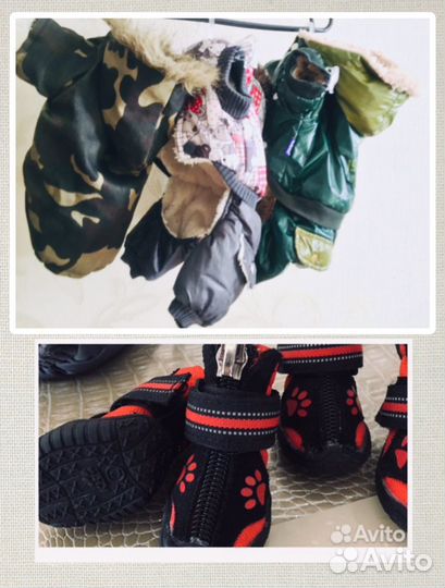 Одежда для собак и кошек