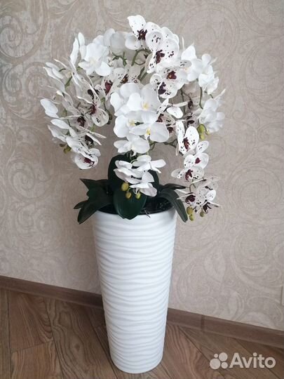 Орхидеи в напольном кашпо