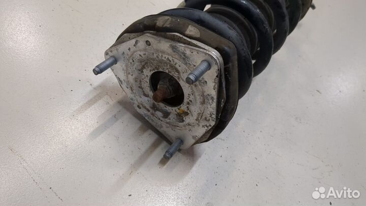 Амортизатор подвески правый передний Infiniti Q70, 2019