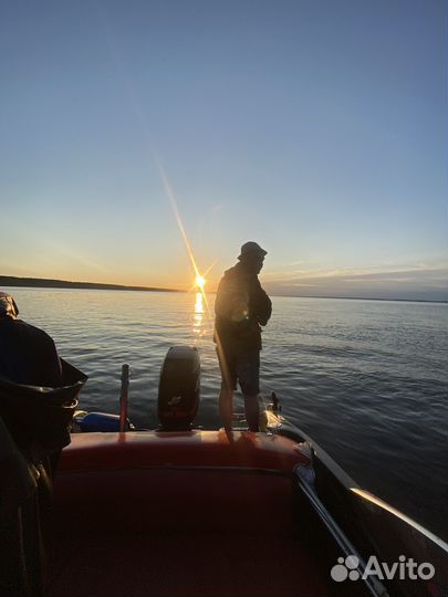 Катер Pragmatik Gepard 560