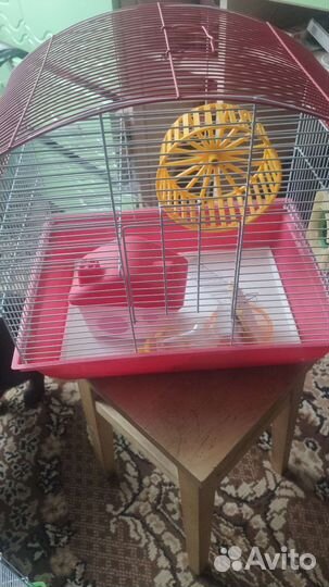 Клетка для джунгарского хомяка