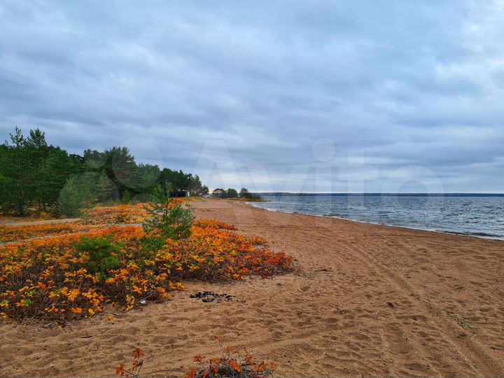 Дом 428,2 м² на участке 12 сот.