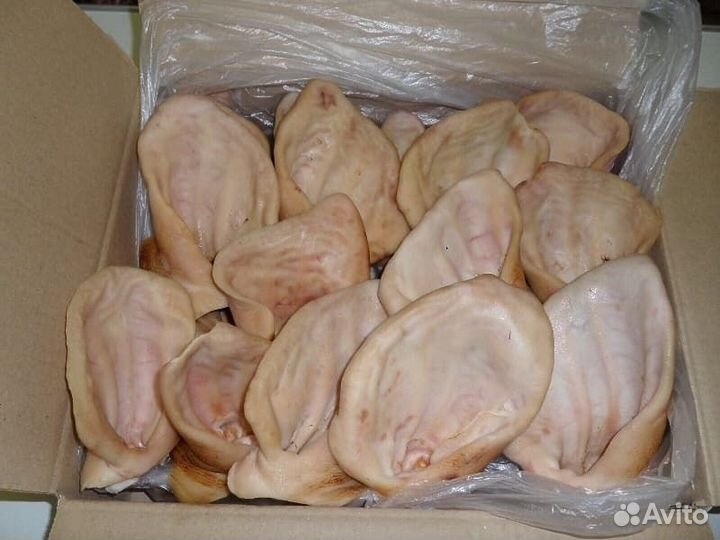 Уши свиные свежие