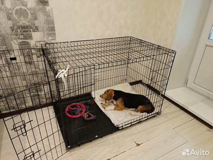 Вольер для собак