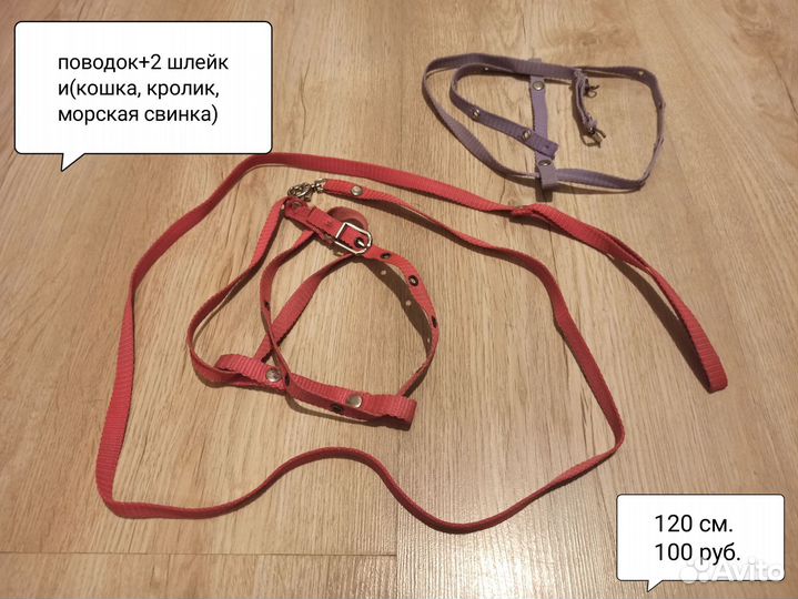 Поводок, шлейка, ошейник