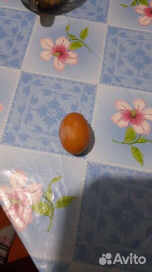 Домашние куриные яйца