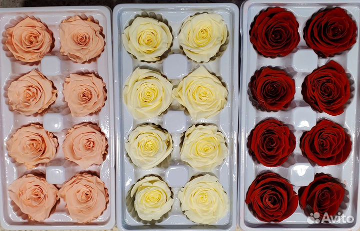 Стабилизированные цветы (розы)