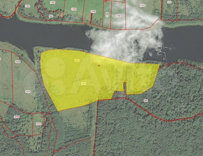 Участок 20,2 га (СНТ, ДНП)