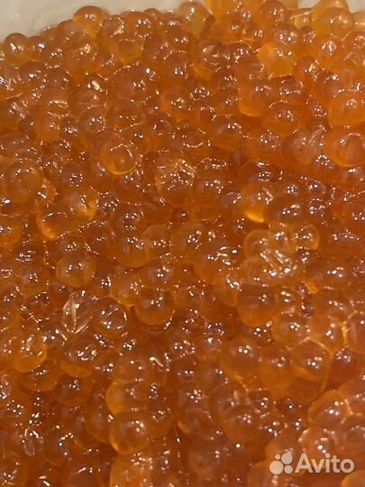 Красная икра горбуши 2023