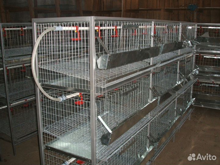 Клетки для кур продам
