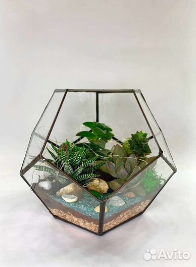 Флорариумы