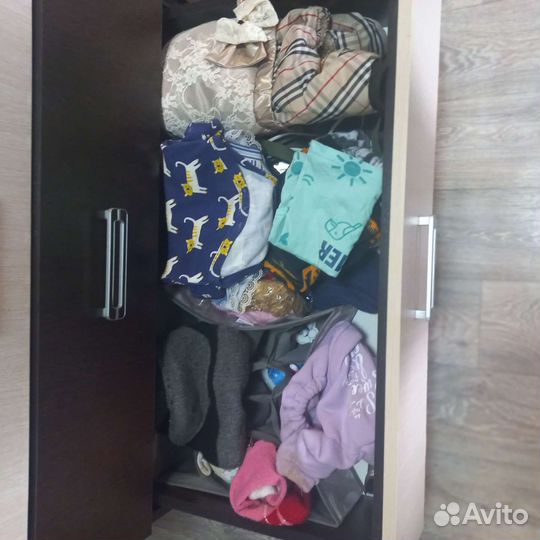 Вещи для собаки