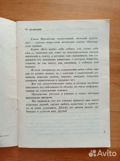 Кто завел себе собаку, кто завел себе ежа