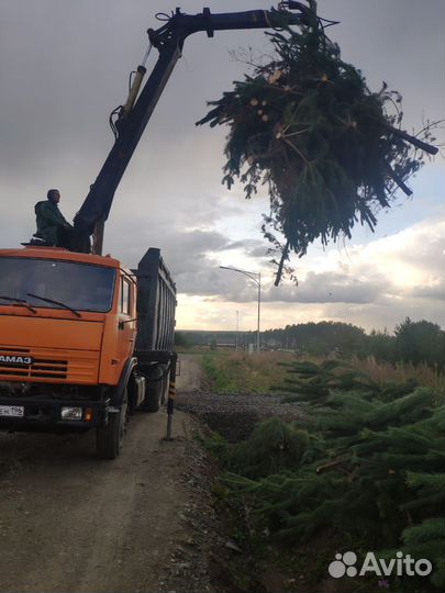 Хапуга вывоз мусора