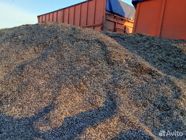 Доставка шелухи, лузги подсолнечника