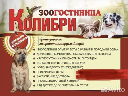 Зоогостиница 