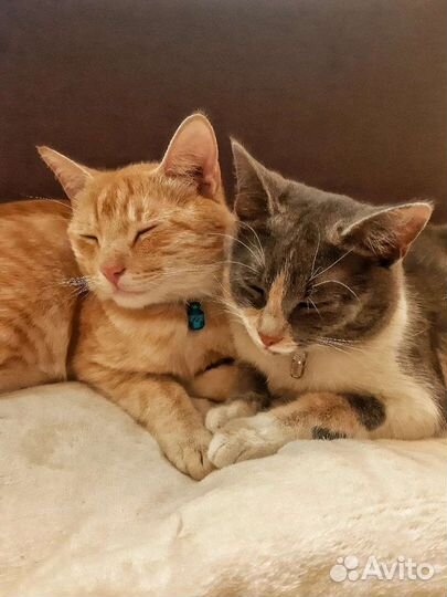 Настольная игра На заказ Ваша история