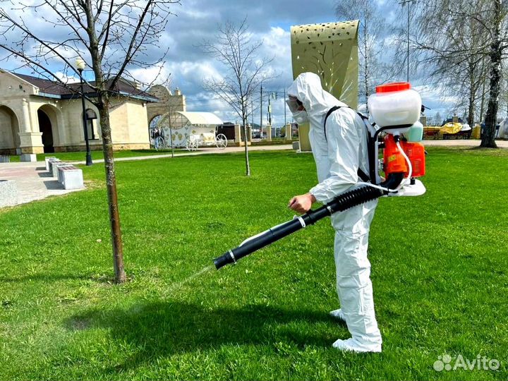 Уничтожение тараканов клопов обработка