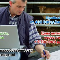 Инвестиции в сельхоз бизнес Душанбе, Душанбе