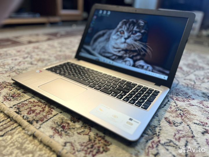 Бизнес Ноутбук Asus Amd A4-9125/240 ssd/4гб/R3