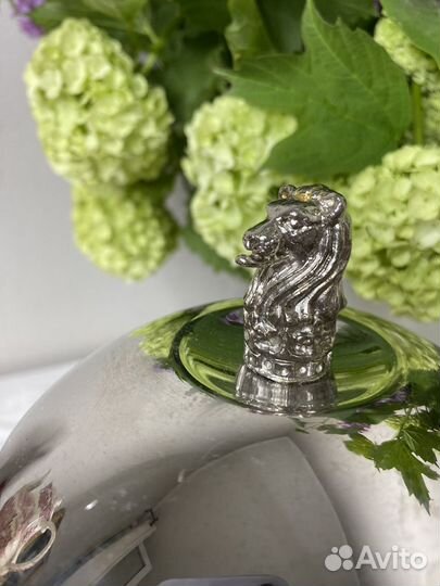 Заварочный чайник hepp для Ritz