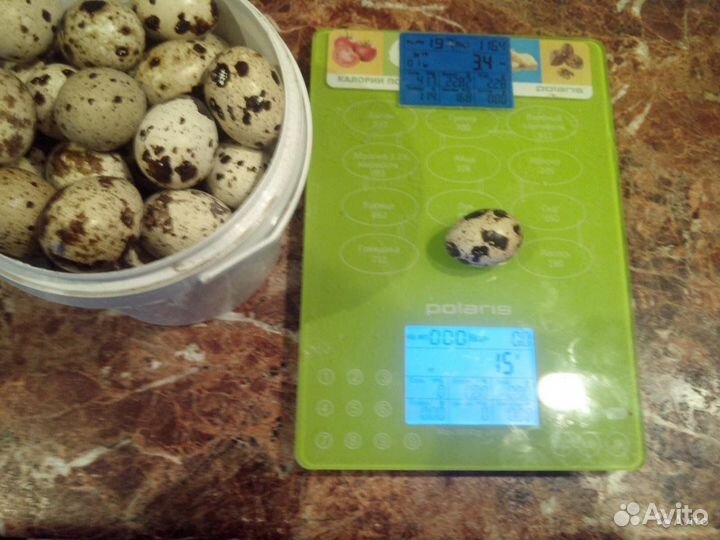 Яйца перепелиные