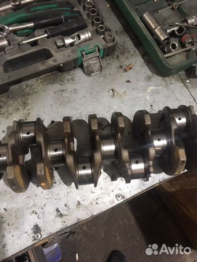 Коневал гранта