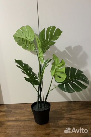 Искусственное растение монстера и Фейки IKEA