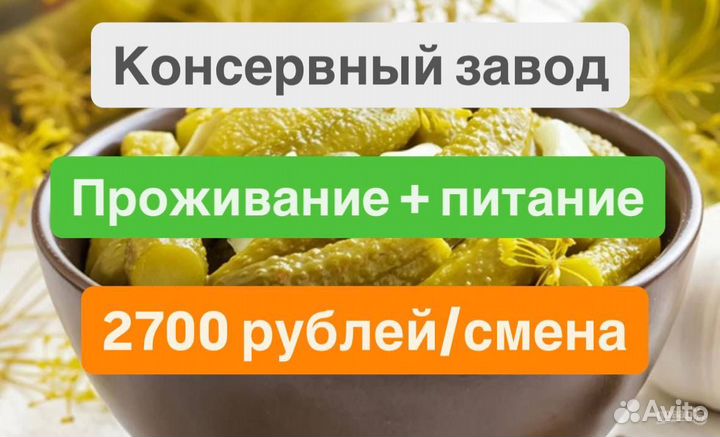 Разнорабочий на консервный завод 15/30/35/45 дней