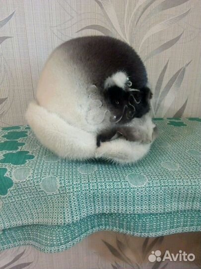 Шапка норковая