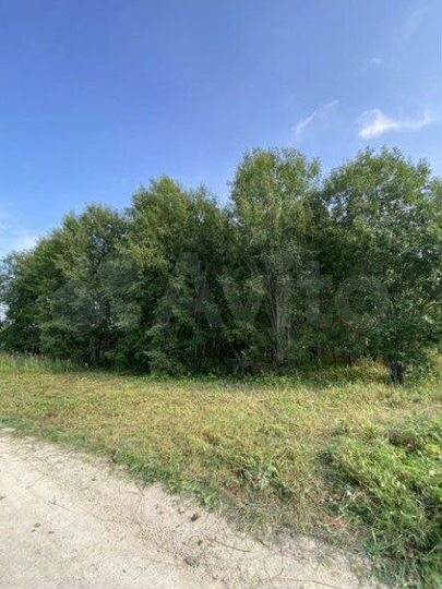 Участок 20 сот. (ИЖС)