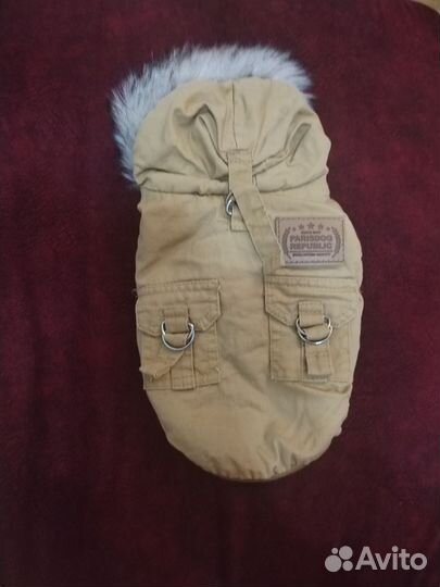 Куртка зимняя для маленькой собачки