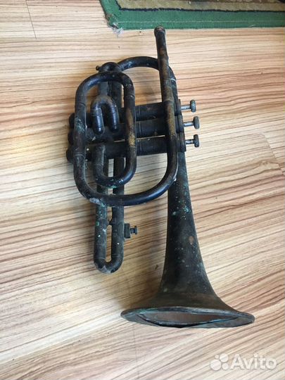 Корнет немецкий