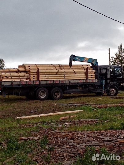 Срубы из оцилиндрованные бревна