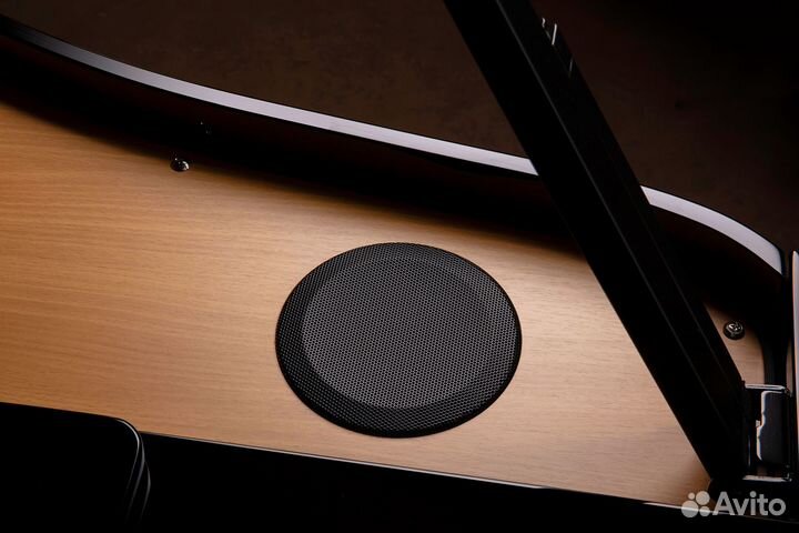 Roland GP 6-PE Цифровой рояль