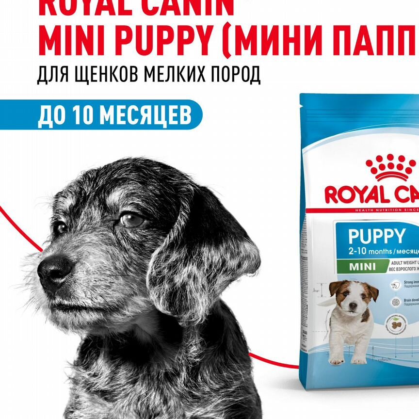 Mini puppy PRO (мини паппи про) 8 кг