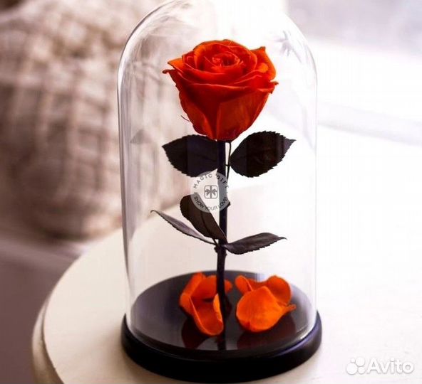 Роза в колбе. Оттенки на выбор