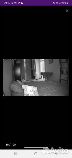 Камера видеонаблюдения. Видео няня