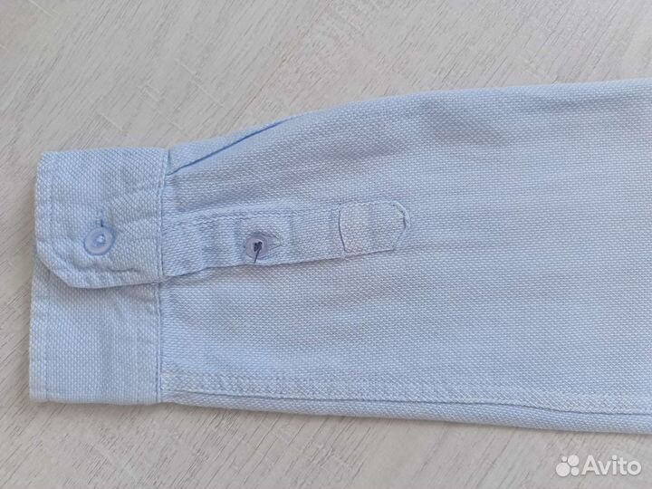 Рубашка школьная на мальчика Акула