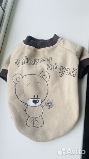 Одежда для собак